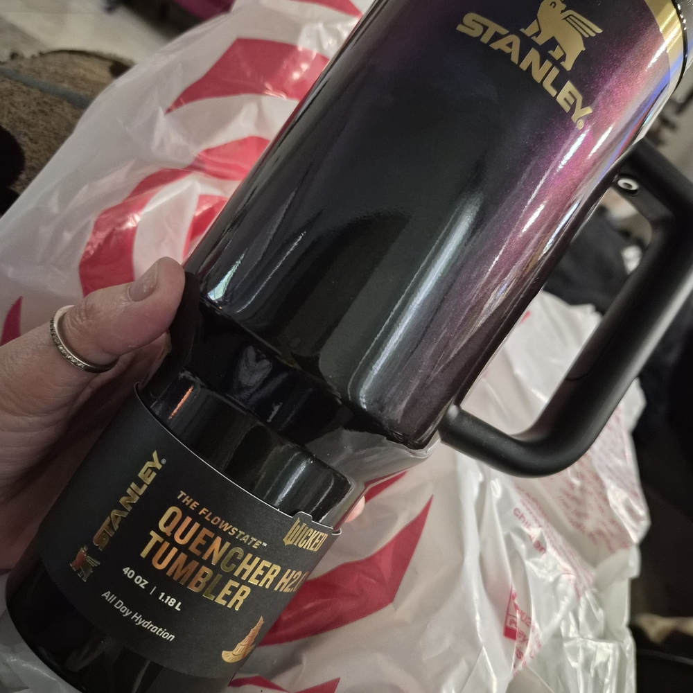 WICKED: FOR GOOD (SOLD OUT) Target Exclusive Elphaba 40oz Tumbler - Picture 2 of 8